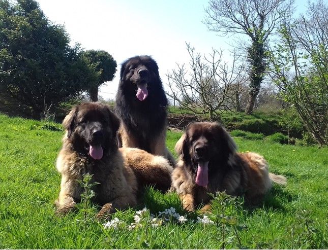 En famille