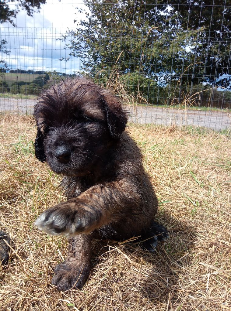 bain de soleil